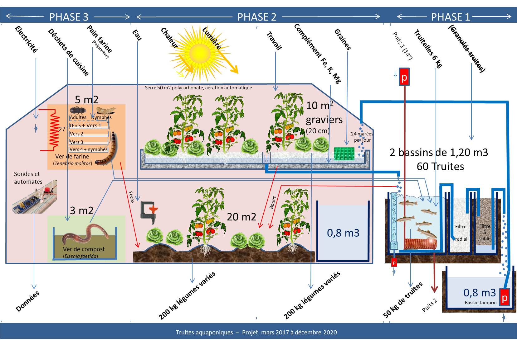 Descalcificador de agua Aquasain, elimine la cal de su vivienda  Système  écologique, Économies d'énergie, Système hydraulique