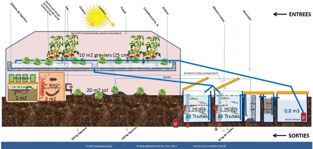 Les besoins en oxygène de l'eau de votre bassin. – aquatechnobel