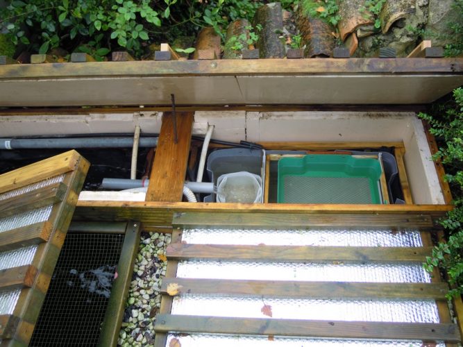 Installation de l'auge d'incubation dans un des deux bassins à truites.