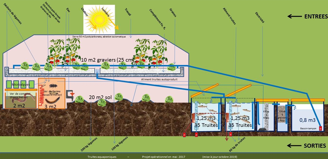 Schéma du projet de production de truites et de légumes en aquaponie