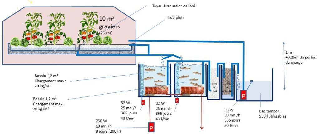  Système "Truites aquaponiques" optimisé pour l'énergie.
Après modification : 7.3 kWh/kg de truite produit. 