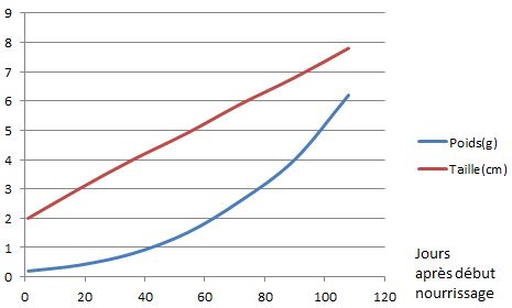 Evolution du poids et de la taille des alevins de truites arc en ciel pour les 100 premiers jours après début nourrissage (données approximatives)
