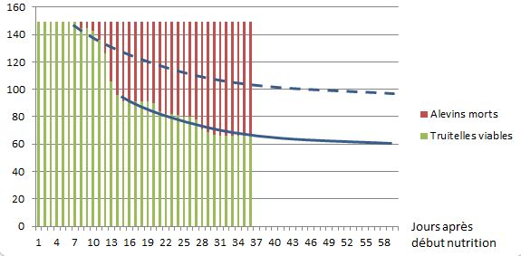  Evolution des alevins au cours de la croissance jusqu'au stade  4 grammes.  