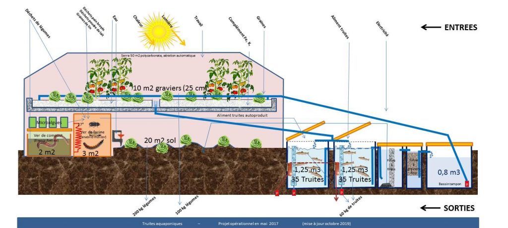 Shéma du dispositif aquaponique "truites aquaponiques"