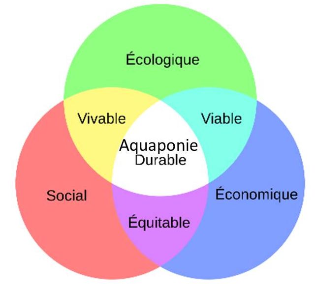 Les trois pieds pour une aquaponie durable: viable, vivable et équitable.