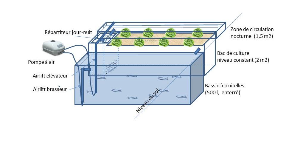 Projet de bassin aquaponique destiné aux truitelles et refroidi par radiation et convection nocturne.
