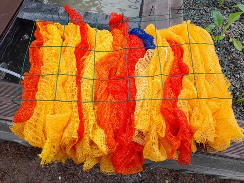 Une seconde vie aux filets d'emballage pour un système aquaponique durable