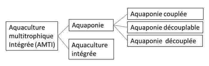 Les catégories retenues pour une définition de l'aquaponie