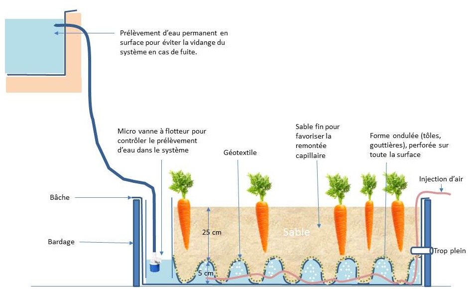Sabloponie avec irrigation et aération par le fond