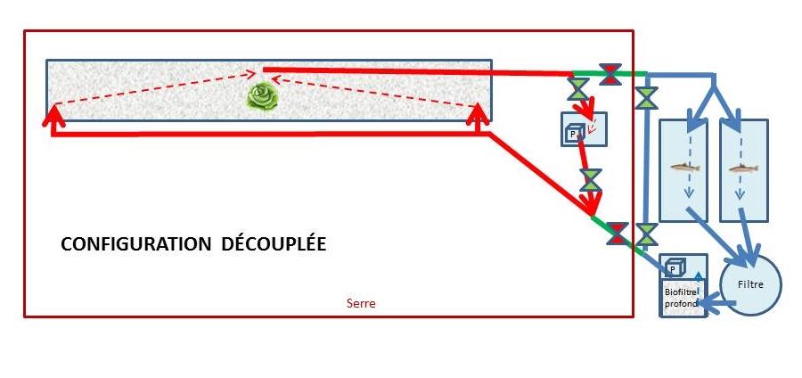 Configuration découplée d'un système aquaponique découplable