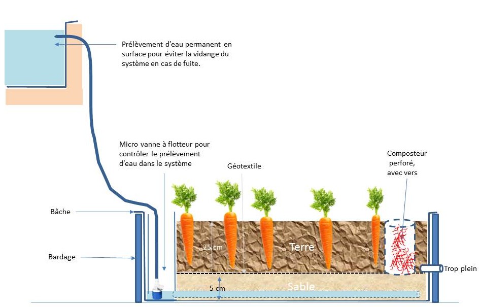 Culture sur lit capillaire mixant sabloponie et wicking bed.