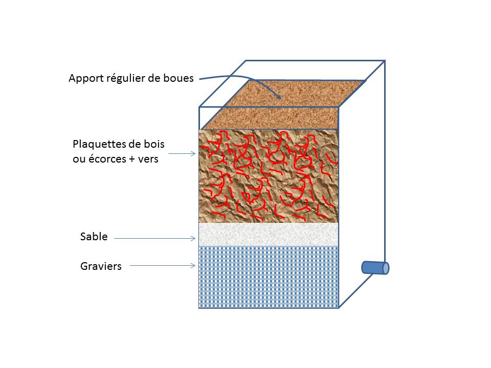 Lombrifiltre pour le traitement des boues