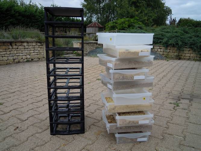 Tour de tiroirs d'élevage de vers de farine avant protection antimusaraigne.